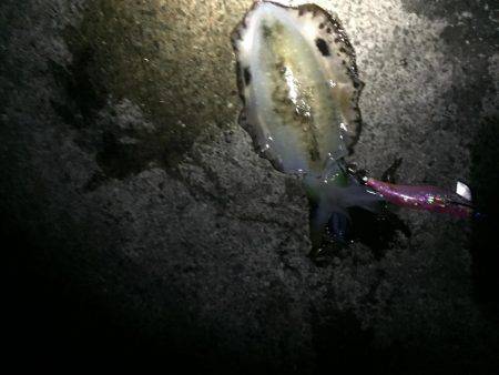 今日はいい天気